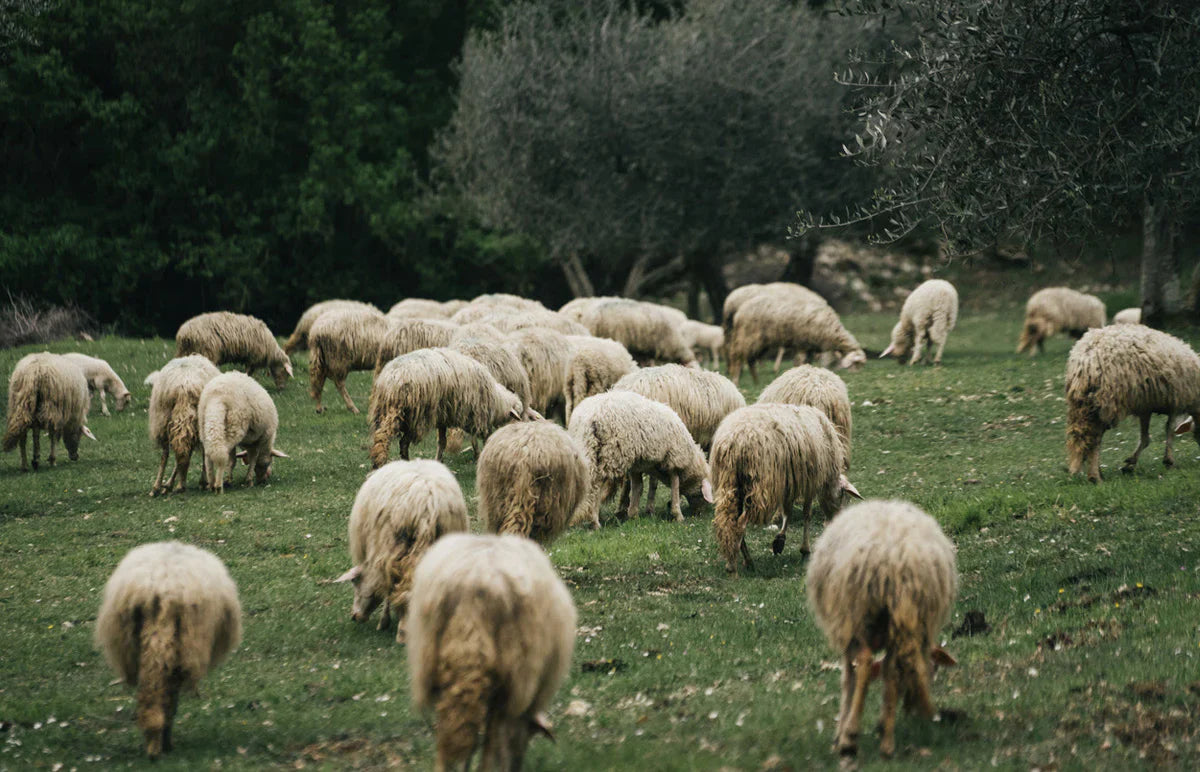 Recycled fabrics 101